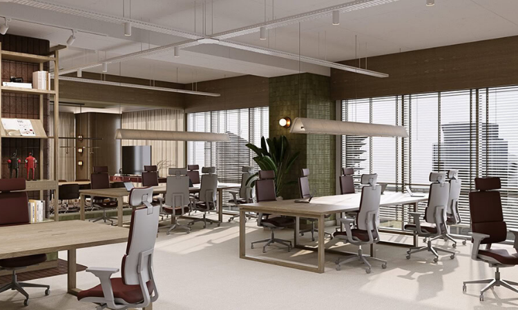 Ev ve Ofis Dekorasyonu